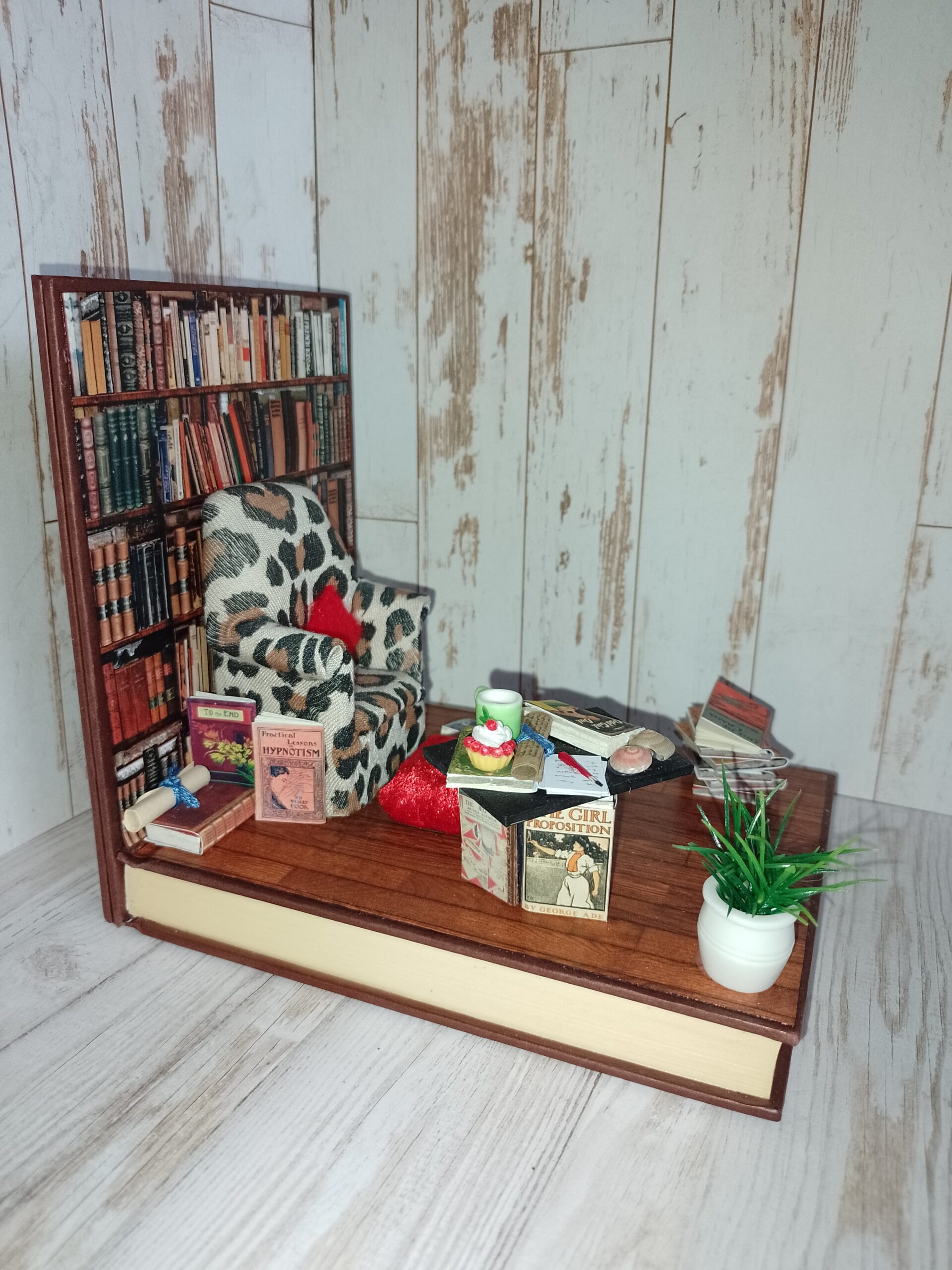 Mini Book Nook, Bookshelf insert, Booknook, Diorama. Miniature room, Eco  friendly, Cosy chair. – Tilly Lane Treasures.